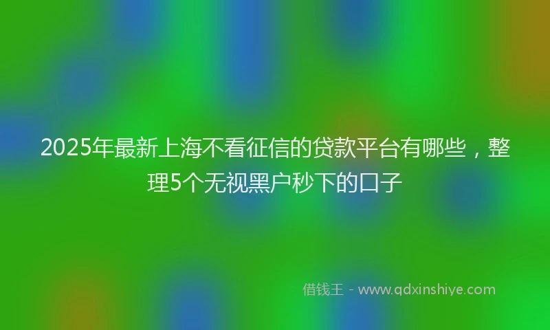 2025年最新上海不看征信的贷款平台有哪些，整理5个无视黑户秒下的口子