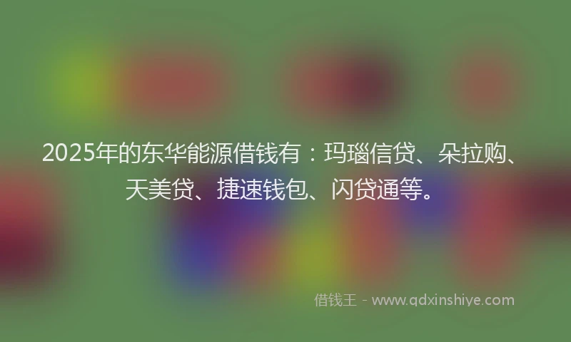 2025年的东华能源借钱有：玛瑙信贷、朵拉购、天美贷、捷速钱包、闪贷通等。