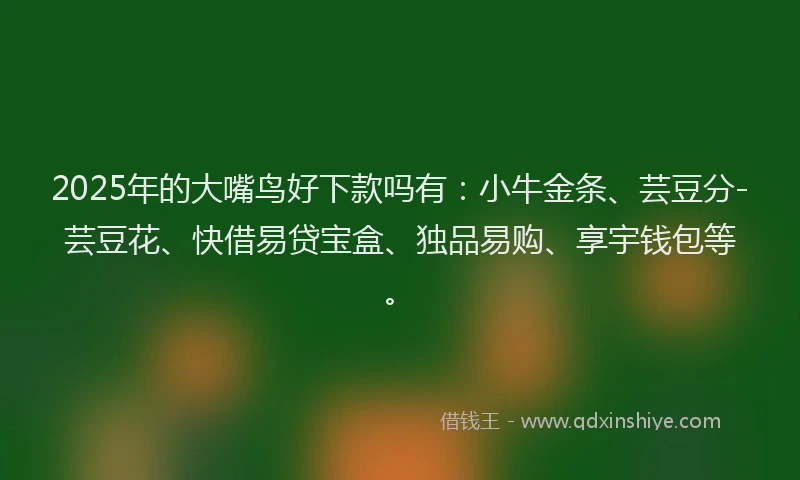 2025年的大嘴鸟好下款吗有：小牛金条、芸豆分-芸豆花、快借易贷宝盒、独品易购、享宇钱包等。