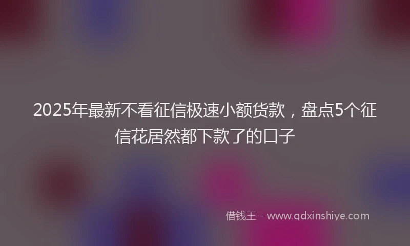 2025年最新不看征信极速小额货款，盘点5个征信花居然都下款了的口子