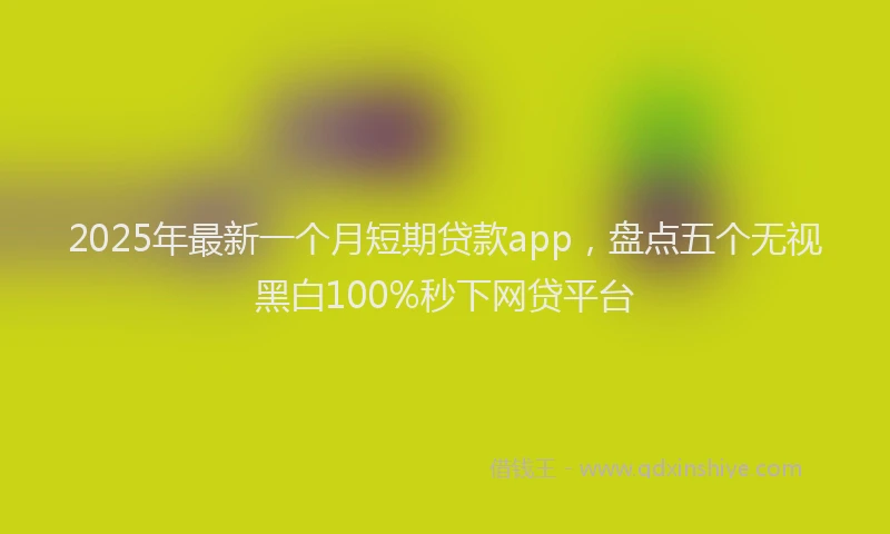 2025年最新一个月短期贷款app，盘点五个无视黑白100%秒下网贷平台
