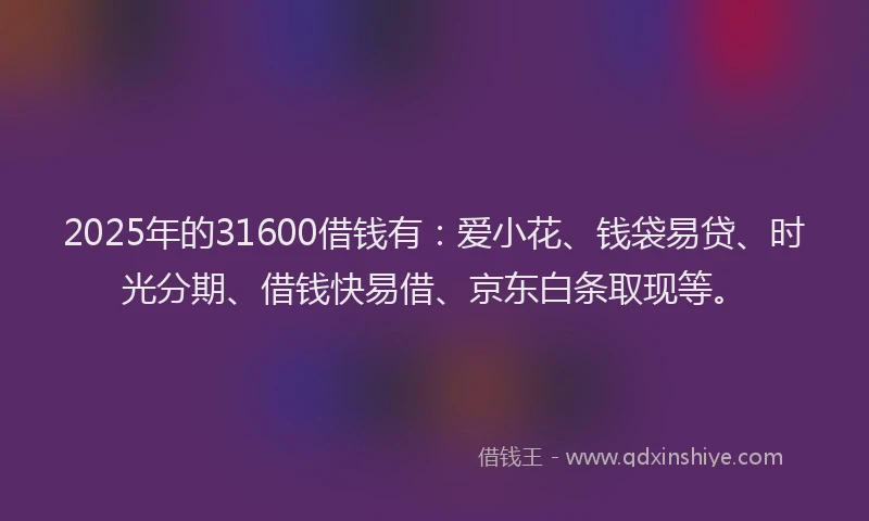 2025年的31600借钱有：爱小花、钱袋易贷、时光分期、借钱快易借、京东白条取现等。