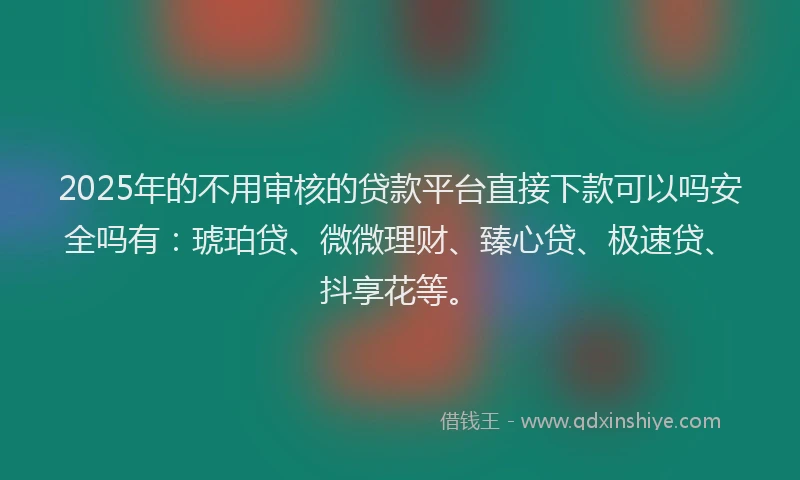 2025年的不用审核的贷款平台直接下款可以吗安全吗有：琥珀贷、微微理财、臻心贷、极速贷、抖享花等。