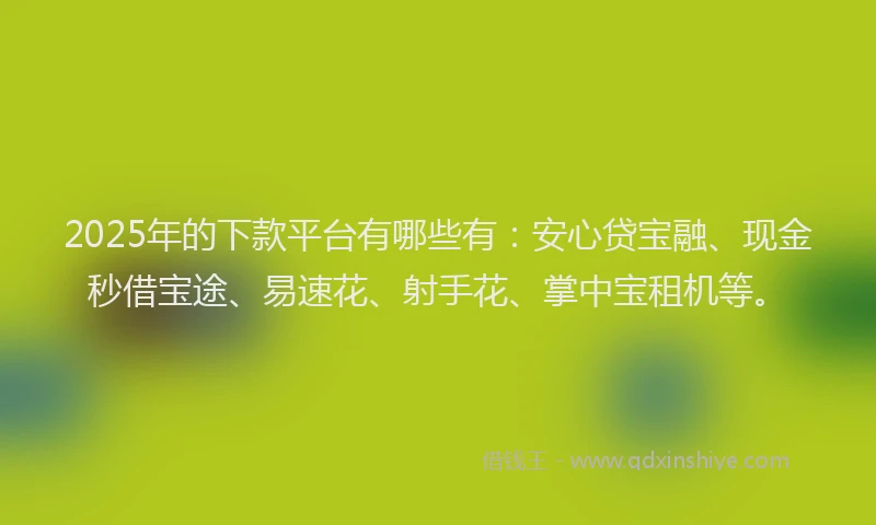 2025年的下款平台有哪些有：安心贷宝融、现金秒借宝途、易速花、射手花、掌中宝租机等。