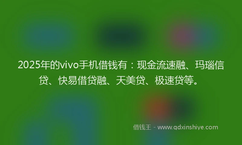 2025年的vivo手机借钱有：现金流速融、玛瑙信贷、快易借贷融、天美贷、极速贷等。