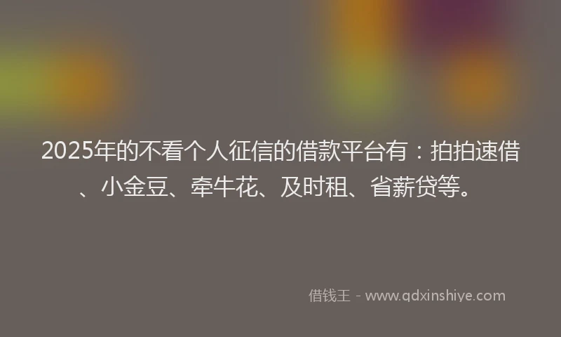 2025年的不看个人征信的借款平台有：拍拍速借、小金豆、牵牛花、及时租、省薪贷等。