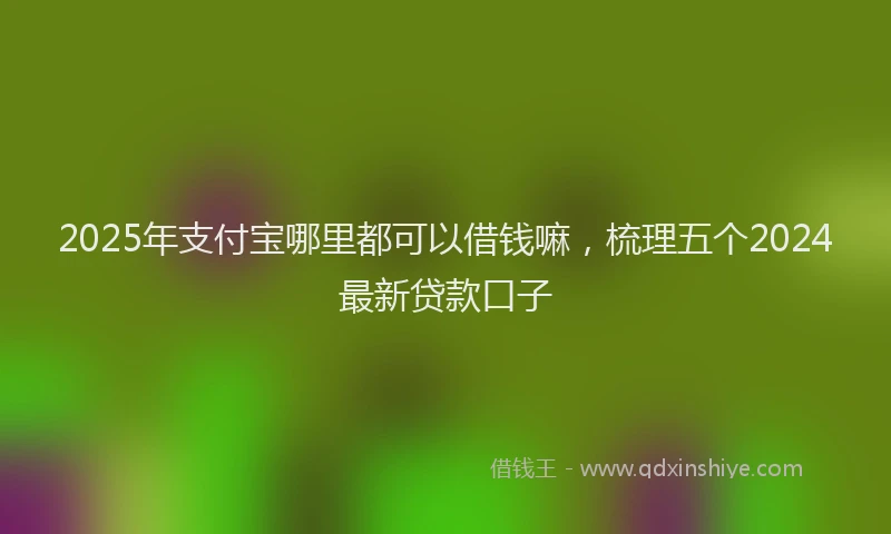 2025年支付宝哪里都可以借钱嘛，梳理五个2024最新贷款口子