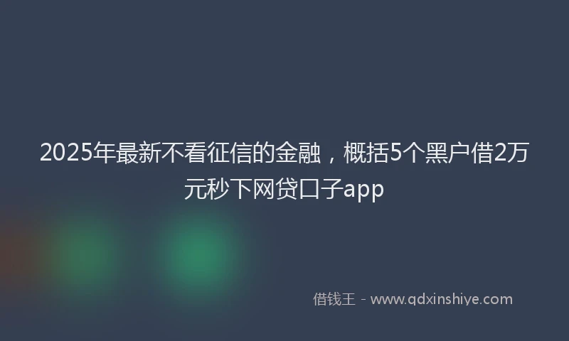 2025年最新不看征信的金融，概括5个黑户借2万元秒下网贷口子app