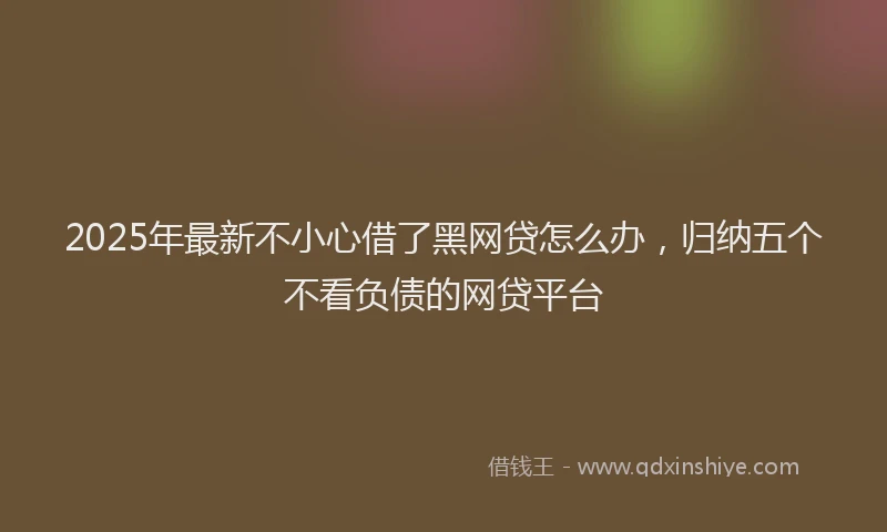 2025年最新不小心借了黑网贷怎么办，归纳五个不看负债的网贷平台