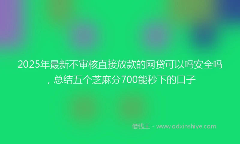 2025年最新不审核直接放款的网贷可以吗安全吗，总结五个芝麻分700能秒下的口子