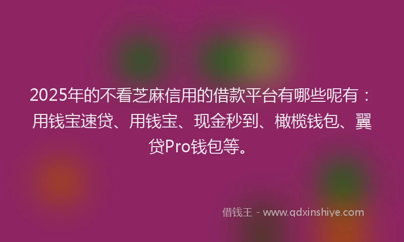 2025年的不看芝麻信用的借款平台有哪些呢有：用钱宝速贷、用钱宝、现金秒到、橄榄钱包、翼贷Pro钱包等。