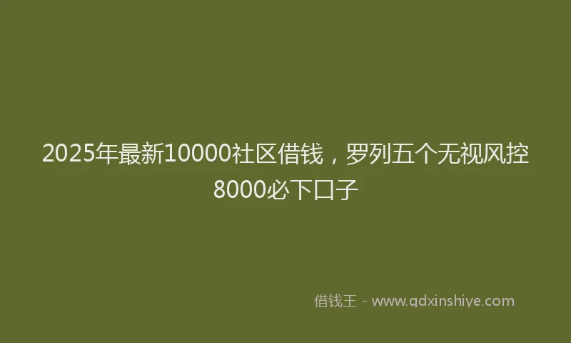 2025年最新10000社区借钱，罗列五个无视风控8000必下口子