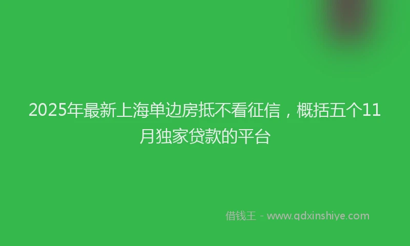 2025年最新上海单边房抵不看征信，概括五个11月独家贷款的平台