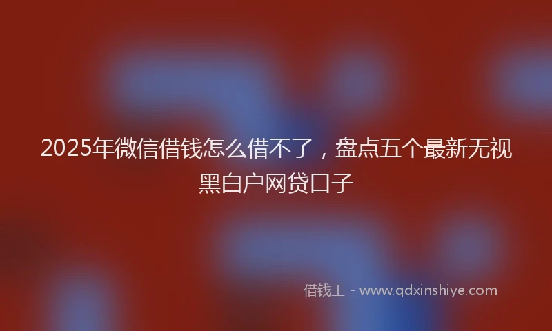 2025年微信借钱怎么借不了，盘点五个最新无视黑白户网贷口子