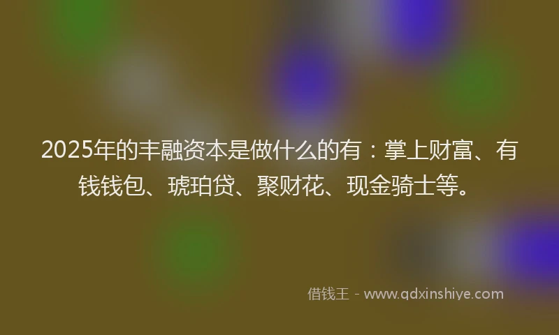 2025年的丰融资本是做什么的有：掌上财富、有钱钱包、琥珀贷、聚财花、现金骑士等。