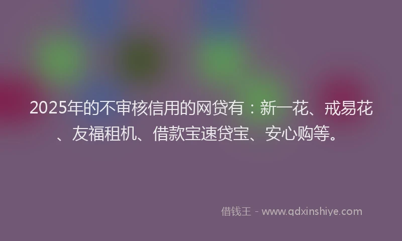 2025年的不审核信用的网贷有：新一花、戒易花、友福租机、借款宝速贷宝、安心购等。