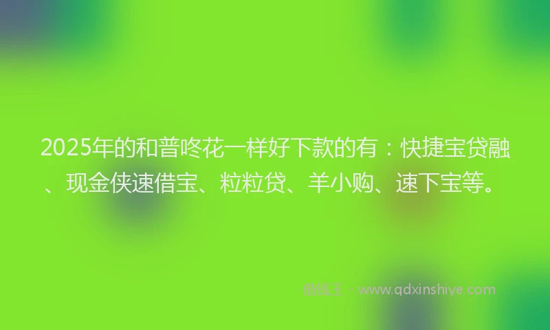 2025年的和普咚花一样好下款的有：快捷宝贷融、现金侠速借宝、粒粒贷、羊小购、速下宝等。