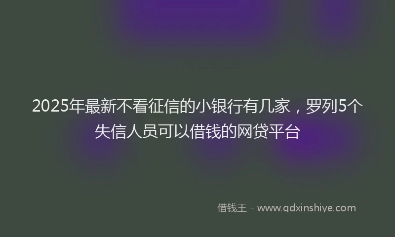 2025年最新不看征信的小银行有几家，罗列5个失信人员可以借钱的网贷平台