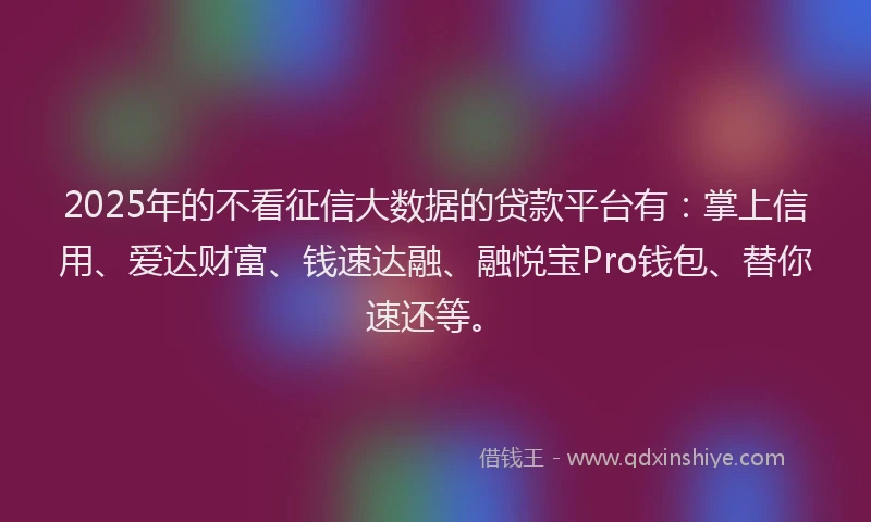 2025年的不看征信大数据的贷款平台有：掌上信用、爱达财富、钱速达融、融悦宝Pro钱包、替你速还等。