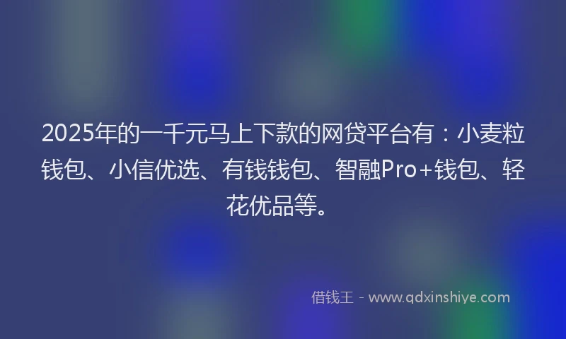 2025年的一千元马上下款的网贷平台有：小麦粒钱包、小信优选、有钱钱包、智融Pro+钱包、轻花优品等。