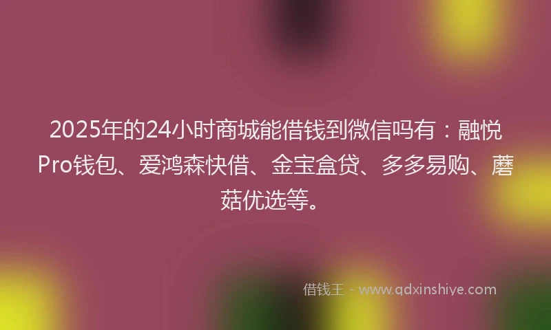 2025年的24小时商城能借钱到微信吗有：融悦Pro钱包、爱鸿森快借、金宝盒贷、多多易购、蘑菇优选等。