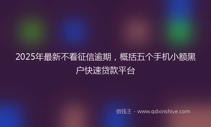 2025年最新不看征信逾期，概括五个手机小额黑户快速贷款平台
