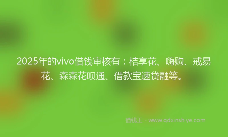 2025年的vivo借钱审核有：桔享花、嗨购、戒易花、森森花呗通、借款宝速贷融等。