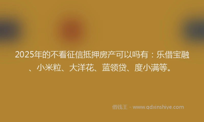 2025年的不看征信抵押房产可以吗有：乐借宝融、小米粒、大洋花、蓝领贷、度小满等。