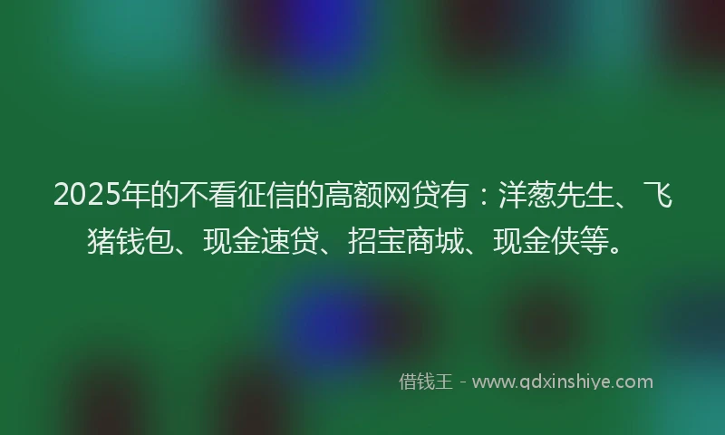 2025年的不看征信的高额网贷有：洋葱先生、飞猪钱包、现金速贷、招宝商城、现金侠等。