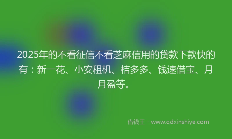 2025年的不看征信不看芝麻信用的贷款下款快的有：新一花、小安租机、桔多多、钱速借宝、月月盈等。