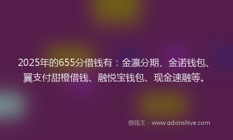 2025年的655分借钱有：金瀛分期、金诺钱包、翼支付甜橙借钱、融悦宝钱包、现金速融等。