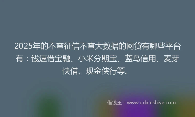 2025年的不查征信不查大数据的网贷有哪些平台有：钱速借宝融、小米分期宝、蓝鸟信用、麦芽快借、现金侠行等。