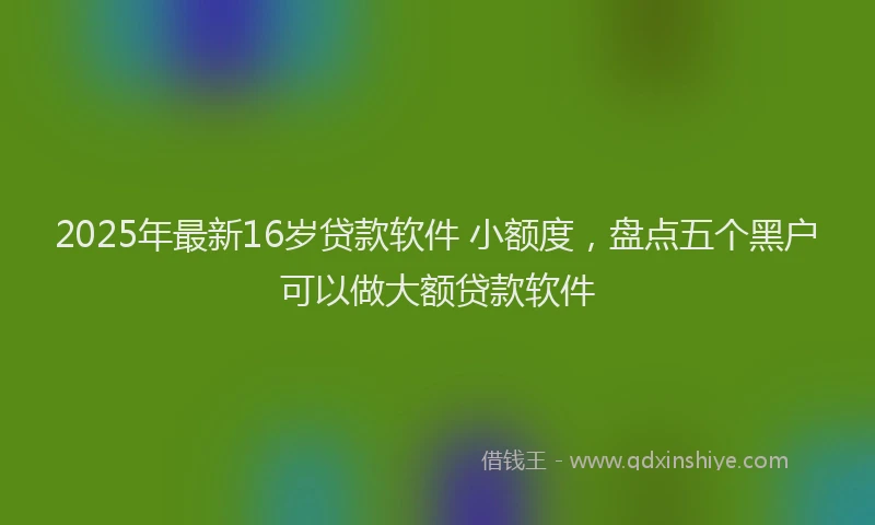 2025年最新16岁贷款软件 小额度，盘点五个黑户可以做大额贷款软件