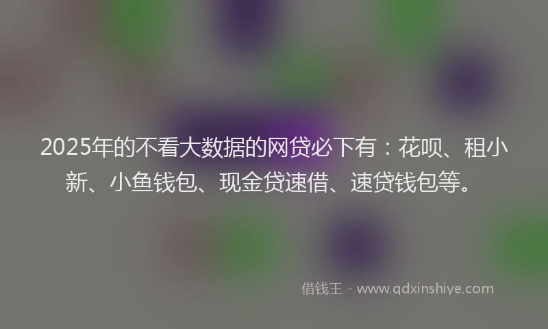2025年的不看大数据的网贷必下有：花呗、租小新、小鱼钱包、现金贷速借、速贷钱包等。