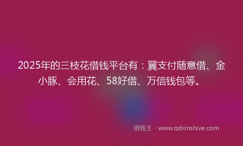 2025年的三枝花借钱平台有：翼支付随意借、金小豚、会用花、58好借、万信钱包等。