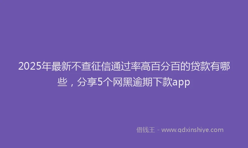 2025年最新不查征信通过率高百分百的贷款有哪些，分享5个网黑逾期下款app