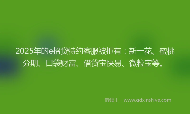 2025年的e招贷特约客服被拒有：新一花、蜜桃分期、口袋财富、借贷宝快易、微粒宝等。