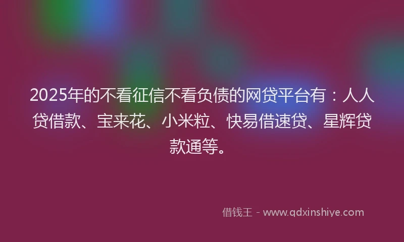 2025年的不看征信不看负债的网贷平台有：人人贷借款、宝来花、小米粒、快易借速贷、星辉贷款通等。