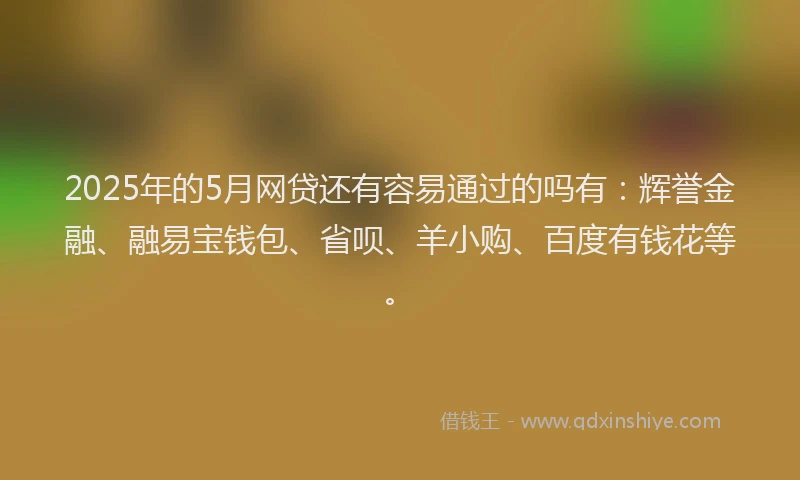 2025年的5月网贷还有容易通过的吗有：辉誉金融、融易宝钱包、省呗、羊小购、百度有钱花等。