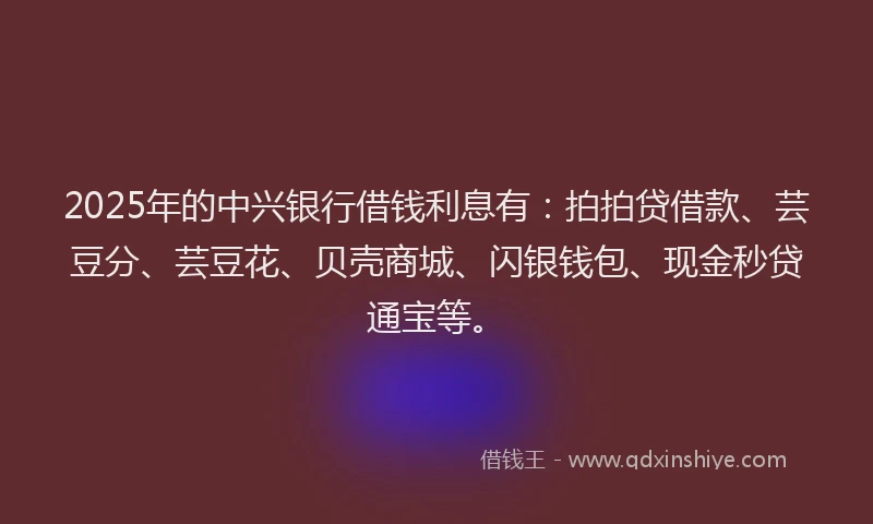 2025年的中兴银行借钱利息有：拍拍贷借款、芸豆分、芸豆花、贝壳商城、闪银钱包、现金秒贷通宝等。