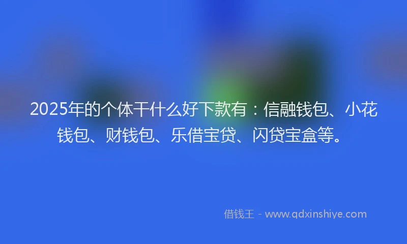 2025年的个体干什么好下款有：信融钱包、小花钱包、财钱包、乐借宝贷、闪贷宝盒等。