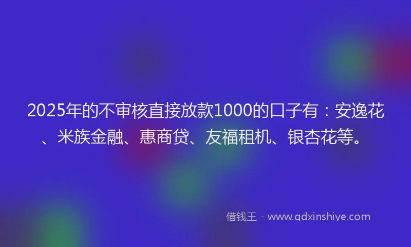 2025年的不审核直接放款1000的口子有：安逸花、米族金融、惠商贷、友福租机、银杏花等。