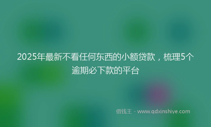 2025年最新不看任何东西的小额贷款，梳理5个逾期必下款的平台