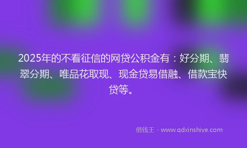 2025年的不看征信的网贷公积金有：好分期、翡翠分期、唯品花取现、现金贷易借融、借款宝快贷等。