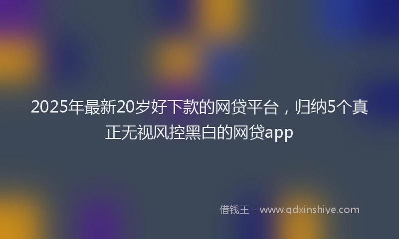 2025年最新20岁好下款的网贷平台，归纳5个真正无视风控黑白的网贷app
