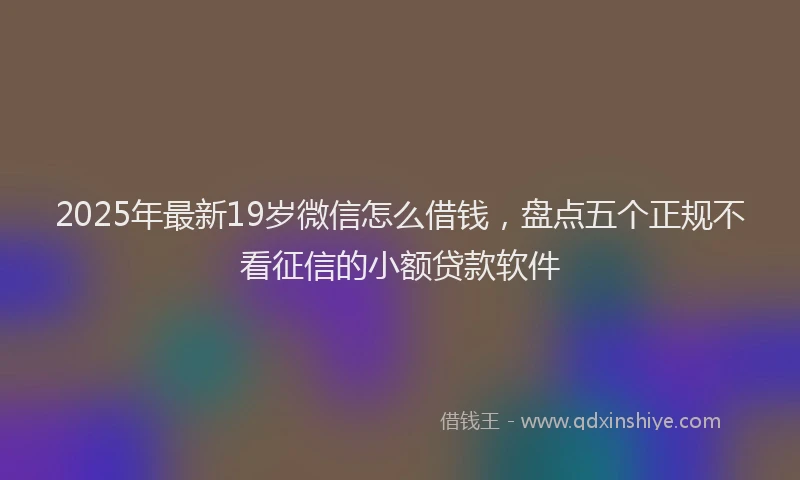 2025年最新19岁微信怎么借钱，盘点五个正规不看征信的小额贷款软件