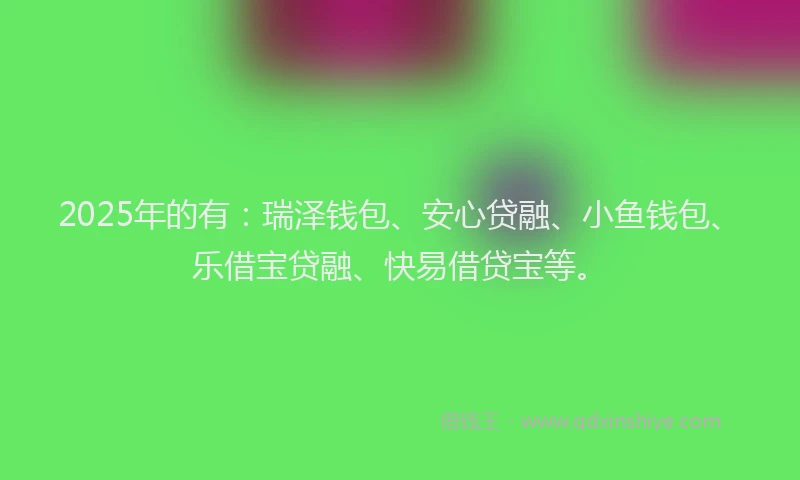 2025年的有：瑞泽钱包、安心贷融、小鱼钱包、乐借宝贷融、快易借贷宝等。