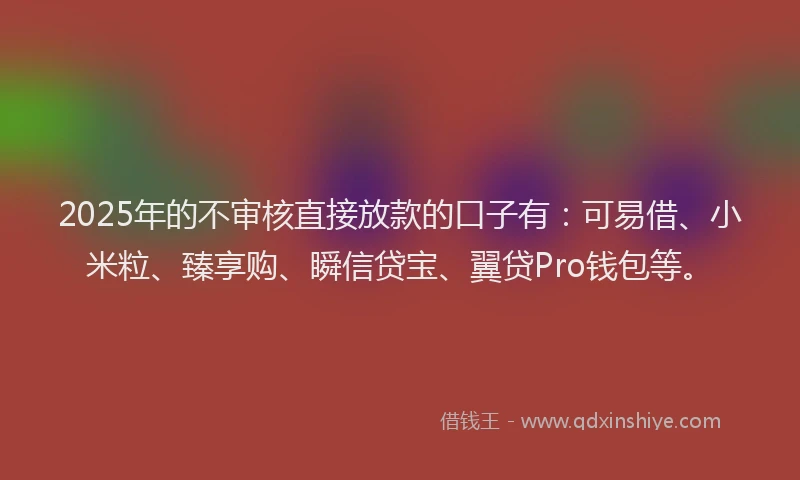 2025年的不审核直接放款的口子有：可易借、小米粒、臻享购、瞬信贷宝、翼贷Pro钱包等。