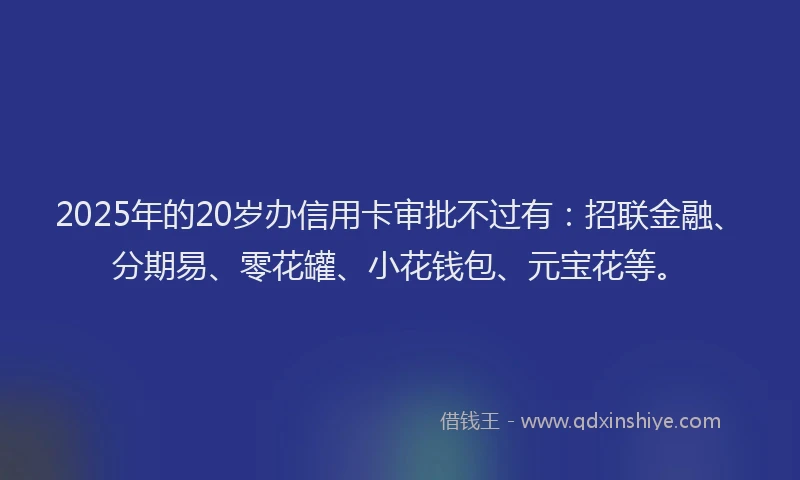 2025年的20岁办信用卡审批不过有：招联金融、分期易、零花罐、小花钱包、元宝花等。
