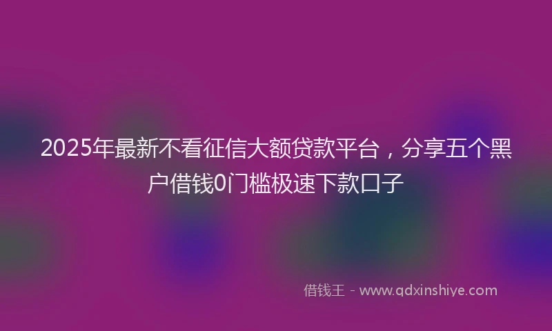 2025年最新不看征信大额贷款平台，分享五个黑户借钱0门槛极速下款口子